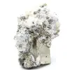 Pirite su ganga con calcite e quarzo - 2