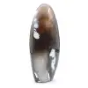 Agata ornamentale - 3