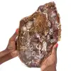 Legno fossilizzato naturale lucidato - 0