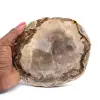 Legno fossile - 0