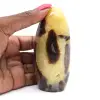Septaria per la raccolta - 0