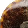 Ammonite naturale lucida intera proveniente dal Madagascar - 4