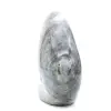 Forma libera di Spectrolite lucidata - 3