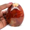 Roccia Corniola - 0
