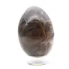 Uovo di pietra di luna nera - 1