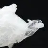 Quarzo himalayano - 5