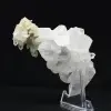 Cristallo di quarzo himalayano sbiadito - 4