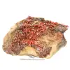 Vanadinite rosso cristallo - 1
