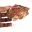 Cristalli di pietra di vanadinite — 4