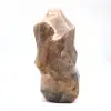 Fiamma della pietra di luna del Madagascar - 1