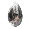 Fossile di Orthoceras dal Marocco - 1