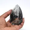 Orthoceras lucidato dal Marocco - 0