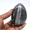 Fossile di Orthoceras lucidato - 0