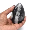Fossile di Orthoceras dal Marocco - 2
