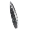 Fossile di Orthoceras dal Marocco - 3