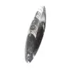 Orthoceras fossile Marocco - 2