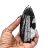 Fossile di Orthoceras dal Marocco - 6