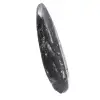 Fossile di Orthoceras lucidato - 3