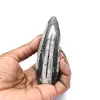 Fossile di Orthoceras dal Marocco - 0