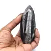 Fossile di Orthoceras dal Marocco - 0