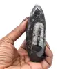 Fossile di Orthoceras dal Marocco - 12