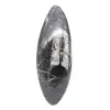 Fossile di Orthoceras - 1