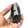 Fossile di Orthoceras dal Marocco - 15