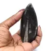 Fossile di Orthoceras dal Marocco - 16