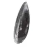 Fossile di Orthoceras dal Marocco - 2