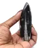 Orthoceras fossile Marocco - 0