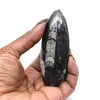 Fossile di Orthoceras - 0