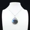 Ciondolo a goccia in labradorite - 0