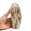 Anidrite lucidata forma lucidata - 0