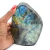 Labradorite lucidata Forma lucidata - 0