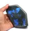 Labradorite lucidata - 0