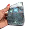 Labradorite lucidata Forma lucidata - 0