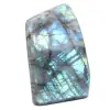 Labradorite lucidata Forma lucidata - 1