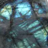 Labradorite lucidata Forma lucidata - 6