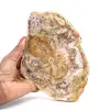 Legno fossilizzato naturale lucidato - 0