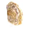 Legno fossilizzato naturale lucidato - 3