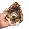 Fetta di legno fossilizzato naturale - 0