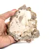 Legno fossilizzato naturale lucidato - 0