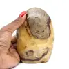 Septaria per la raccolta - 0