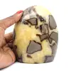 Septaria ornamentale del Madagascar - 0