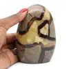 Raccolta Septaria per Madagascar - 0
