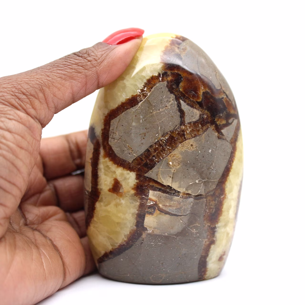 Septaria naturale del Madagascar