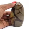 Septaria naturale - 0