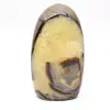 Septaria naturale per decorazione - 1