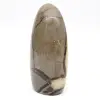 Septaria naturale per decorazione - 3