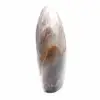 Roccia di pietra di luna - 3